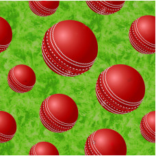 Cricket Balls 6056B